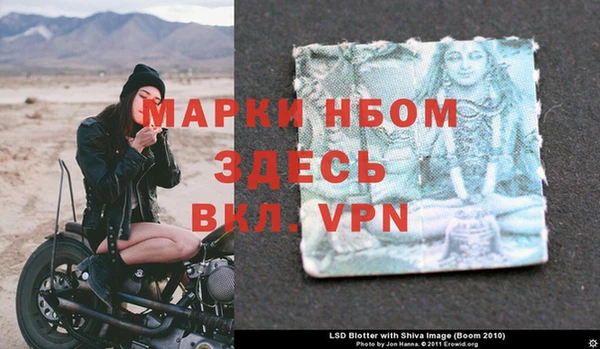 сатива Армянск