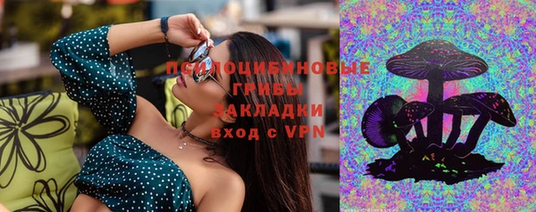 сатива Армянск