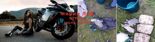 сатива Армянск
