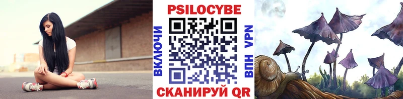 Галлюциногенные грибы MAGIC MUSHROOMS  ОМГ ОМГ ссылки  Гороховец  магазин продажи  