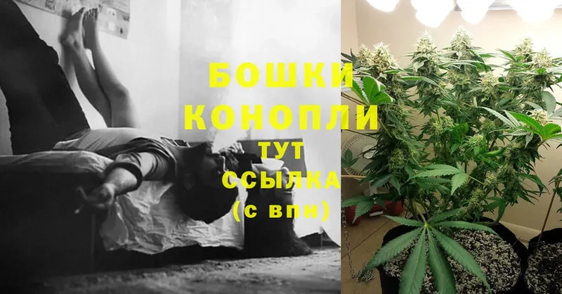 Каннабис White Widow  МЕГА ссылка  Гороховец 